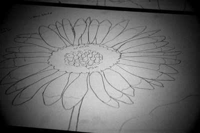 Sunflowerdrawing1.jpg