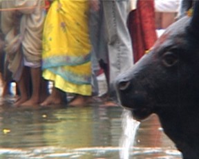 Ghats 21.jpg