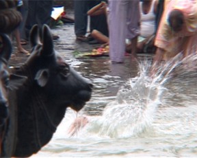 Ghats 10.jpg